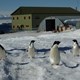 Malcolm Plant Operators Return to Antarctica